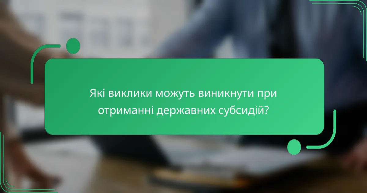 Які виклики можуть виникнути при отриманні державних субсидій?