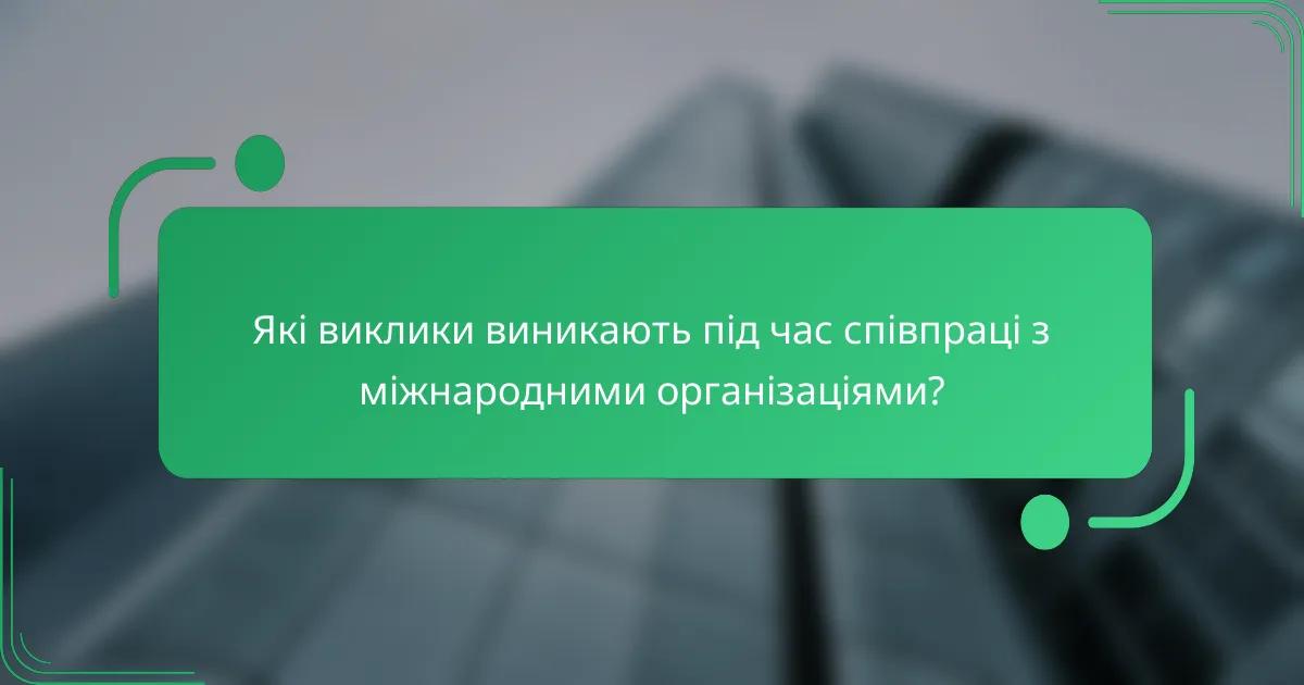 Які виклики виникають під час співпраці з міжнародними організаціями?